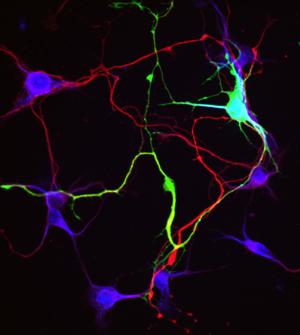 enseignement et recherche